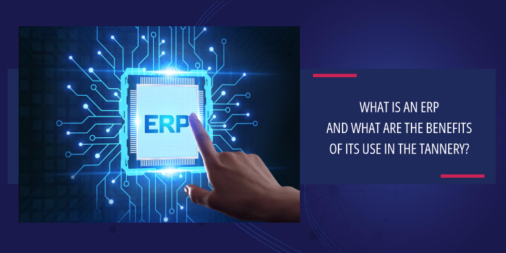 what is a ERP?